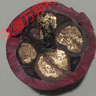 卷筒电缆GC-JTCABLEG