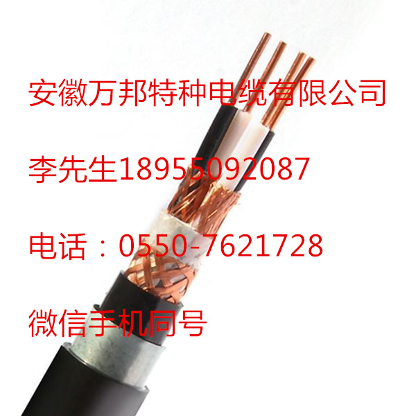 JH-HB-VPR 2*1 GF-WDZCEER23-125 DJYVPR22 计算机电缆