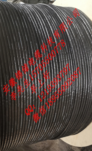 AFFRP1-200 EVP-750V 2*2.5