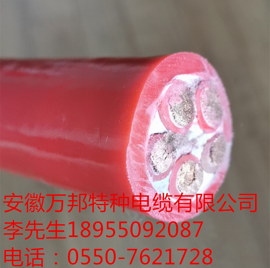 安徽万邦特种电缆，技术参数说明 型号WBTZDLP