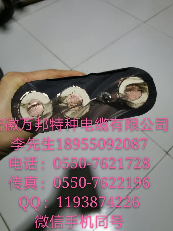 变频电缆 3*35+1*16