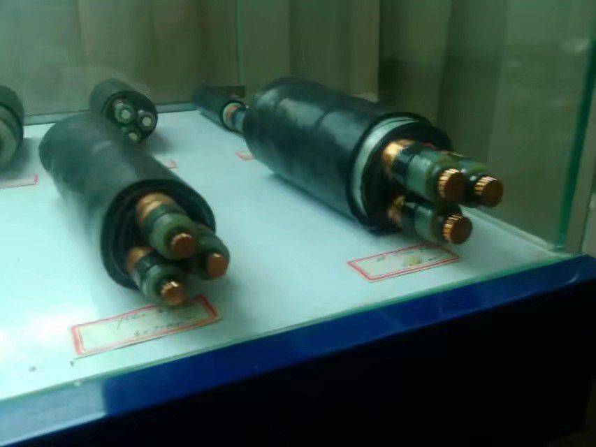 NH-YJV22    3*4    ZA-KYJVRP22   1*4*1.5