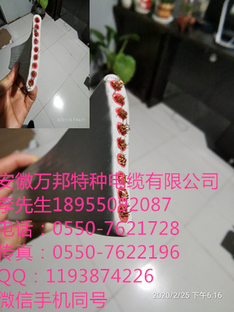 TL-YCK  0.6/1KV  14*1.5