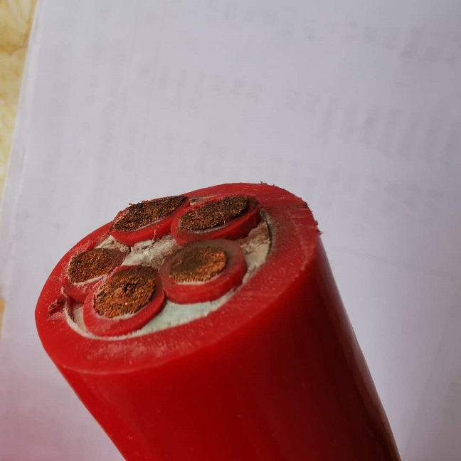 金沙检测线路js69ZN-TYVR  1500V