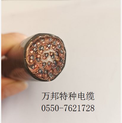 耐高温导线KFFR46  2*2.0