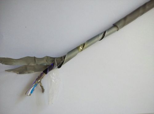 ASTP-120铠装双绞屏蔽电缆高清实拍图