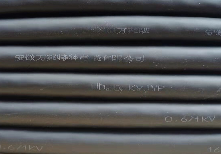 WDZB-YJE   0.6/1KV  2*4