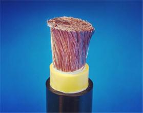  ZC-ERF-0.6/1KV 1*300电缆