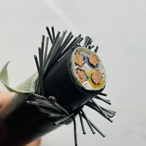 IMG_3108.jpg WDJBRYK42 钢丝铠装电缆