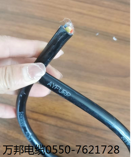 ZB-RVVP-0.65/1.1KV-二芯-0.5