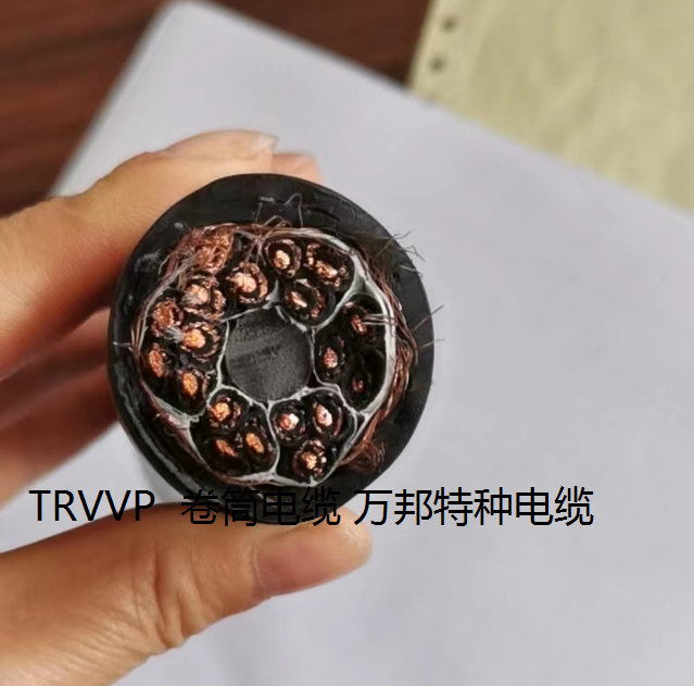 TK-TLRVVP-450/750V 8*1.0