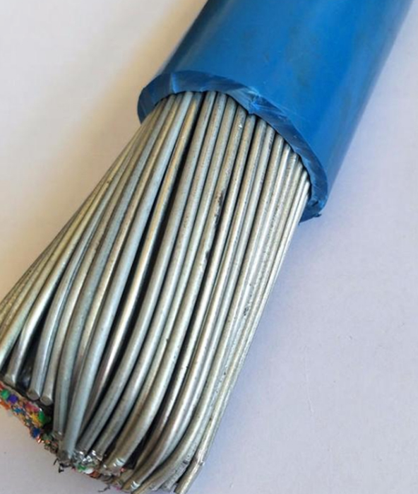 本安计算机电缆IA-DJYPVP-32 IA-DJYVP2-32 IA-DJYVP3-32